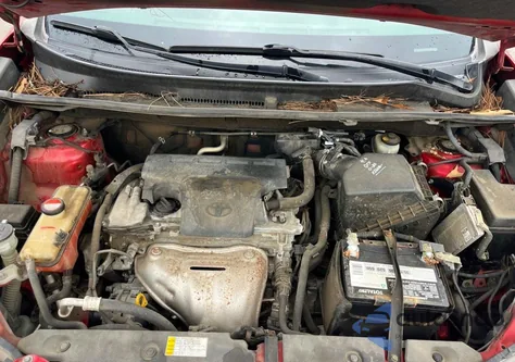 2015 Toyt Rav4 Le Red из США, поврежденный, VIN JTMZFREV8FJ054051